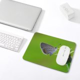 yanfind The Mouse Pad Blur Focus Butterfly Delicate Insect Wings Depth Field Lepidoptera Macro Wildlife Pollen Pattern Design Stitched Edges Suitable for home office game