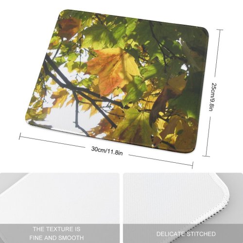 yanfind The Mouse Pad Maple Autumn Woody Leaves Plant Branch Warsaw Leaf Sunlight Leaf Tree Poland Pattern Design Stitched Edges Suitable for home office game