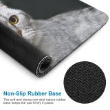 yanfind The Mouse Pad Young Grey Pet Funny Kitten Portrait Tabby Cute Eye Whisker Downy Fur Pattern Design Stitched Edges Suitable for home office game