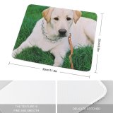 yanfind The Mouse Pad Canidae Dog Grass Vertebrate Grass Carnivore Dog Pattern Design Stitched Edges Suitable for home office game