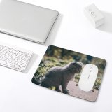 yanfind The Mouse Pad Pet Outdoors Felidae Tabby Whiskers Outside Field Cute Focus Blur Adorable Furry Pattern Design Stitched Edges Suitable for home office game