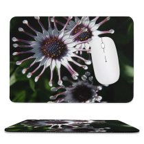 yanfind The Mouse Pad Flower Plant Wildflower Petal Flower Flowering Plants Family Passion Terrestrial Plant Botany Pattern Design Stitched Edges Suitable for home office game