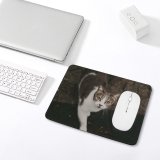 yanfind The Mouse Pad Funny Curiosity Sit Cute Cat Baby Little Eye Portrait Kitten Pet Whisker Pattern Design Stitched Edges Suitable for home office game