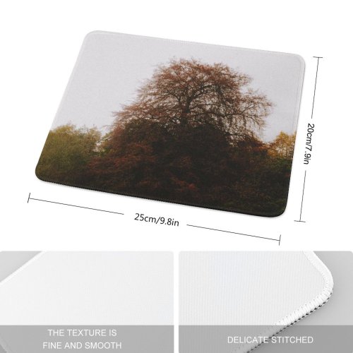 yanfind The Mouse Pad Abies Uk Willow Tree Plant Fir PNG Art Wallpapers Highlands Images Pattern Design Stitched Edges Suitable for home office game
