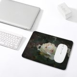 yanfind The Mouse Pad Wallpapers Flower PNG Autumn Rose Plant Blossom Grey Images Pattern Design Stitched Edges Suitable for home office game
