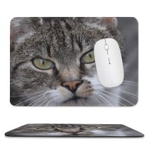 yanfind The Mouse Pad Young Grey Pet Kitten Portrait Tabby Curiosity Cute Staring Cat Eye Whisker Pattern Design Stitched Edges Suitable for home office game