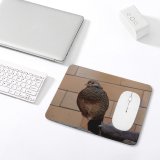 yanfind The Mouse Pad Birdwatching Beak Field Alive Grass Cool Life Afraid Gobbler Falcon Falconiformes Galliformes Pattern Design Stitched Edges Suitable for home office game