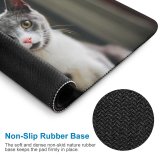 yanfind The Mouse Pad Blur Focus Whiskers Cats Cat Depth Face Field Pet Cat's Fur Furry Pattern Design Stitched Edges Suitable for home office game