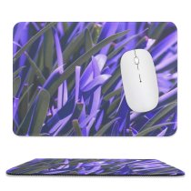 yanfind The Mouse Pad Agapanthus Peak Sunlight Doddabetta Plant Flax Crocus Plants Violet India Outdoors Pattern Design Stitched Edges Suitable for home office game