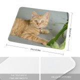 yanfind The Mouse Pad Plant Eyes Kitty Pet Kitten Whiskers Cute Focus Little Furry Face Pavement Pattern Design Stitched Edges Suitable for home office game