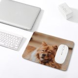 yanfind The Mouse Pad Dog Nala Pet Pictures Chow Furry PNG Images Pattern Design Stitched Edges Suitable for home office game