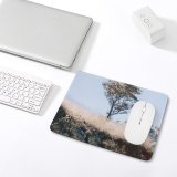 yanfind The Mouse Pad Savanna Plant Trunk Mexico Jalisco Pictures Grassland Outdoors Grey Tree Free Pattern Design Stitched Edges Suitable for home office game