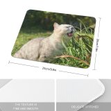 yanfind The Mouse Pad Young Grass Pet Funny Outdoors Portrait Dog Cute Little Adorable Sit Cat Pattern Design Stitched Edges Suitable for home office game