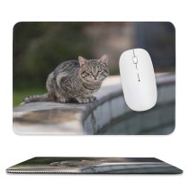 yanfind The Mouse Pad Funny Curiosity Outdoors Focus Little Young Blur Pretty Staring Pattern Design Stitched Edges Suitable for home office game