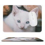 yanfind The Mouse Pad Funny Curiosity Sit Little Young Eye Pet Whisker Downy Fur Portrait Pattern Design Stitched Edges Suitable for home office game
