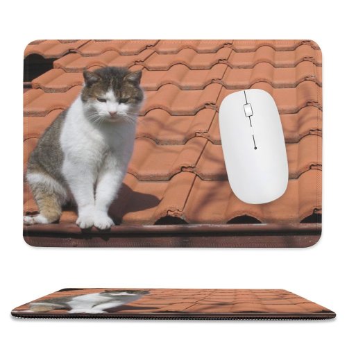 yanfind The Mouse Pad Felidae Sized Kocka Cat Killick Short Carnivore Whiskers Snout Prihoda Paw Medium Pattern Design Stitched Edges Suitable for home office game