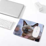 yanfind The Mouse Pad Young Pet Friendship Funny Kitten Portrait Curiosity Cute Little Cat Eye Siamese Pattern Design Stitched Edges Suitable for home office game