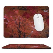 yanfind The Mouse Pad Vehicle Automobile Streetphotography Plant Streetphoto Pictures Transportation Tree City Free Mn Pattern Design Stitched Edges Suitable for home office game