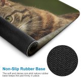 yanfind The Mouse Pad Funny Curiosity Outdoors Cute Little Young Eye Portrait Staring Kitten Whisker Fur Pattern Design Stitched Edges Suitable for home office game