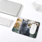 yanfind The Mouse Pad Blur Focus Whiskers Shorthair Cat Grass British Pet Sit Fur Downy Hairy Pattern Design Stitched Edges Suitable for home office game