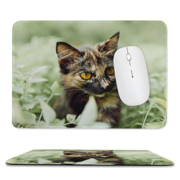 yanfind The Mouse Pad Young Kitty Outdoors Felidae Kitten Tabby Whiskers Wildlife Field Focus Little Blur Pattern Design Stitched Edges Suitable for home office game