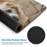 yanfind The Mouse Pad Walkway Pet Strap Pavement Pictures Floor Stock Spaniel Flagstone Cocker Free Pattern Design Stitched Edges Suitable for home office game