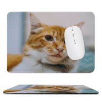 yanfind The Mouse Pad Funny Curiosity Sit Little Young Eye Staring Kitten Whisker Downy Fur Portrait Pattern Design Stitched Edges Suitable for home office game