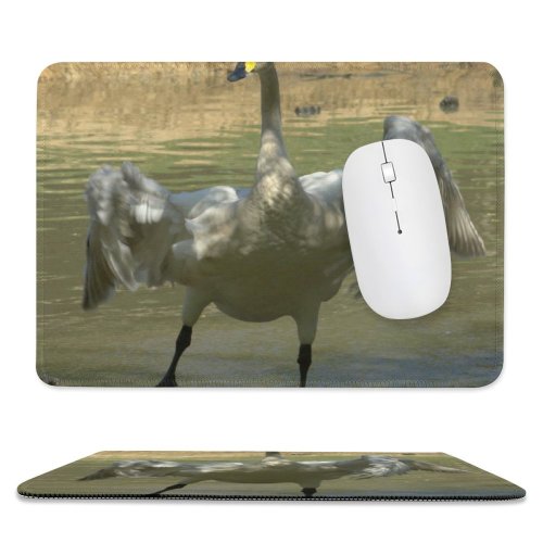 yanfind The Mouse Pad Whooper Swan Beak Kneck Feather Flap Wing Bill Wetland Bird Cob Wildfowl Pattern Design Stitched Edges Suitable for home office game
