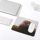 yanfind The Mouse Pad Abies Uk Willow Tree Plant Fir PNG Art Wallpapers Highlands Images Pattern Design Stitched Edges Suitable for home office game