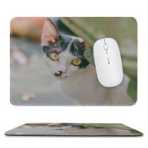 yanfind The Mouse Pad Young Kitty Pet Funny Outdoors Kitten Portrait Tabby Whiskers Cute Little Blur Pattern Design Stitched Edges Suitable for home office game