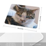 yanfind The Mouse Pad Young Kitty Pet Kitten Portrait Tabby Whiskers Curiosity Cute Little Adorable Cat Pattern Design Stitched Edges Suitable for home office game