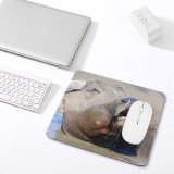 yanfind The Mouse Pad Wild Life Tiger Zebra Safari Vertebrate Snout Terrestrial Nose Wildlife Mouth Working Pattern Design Stitched Edges Suitable for home office game
