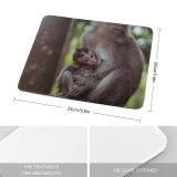 yanfind The Mouse Pad Ape Orangutan Tree Blur Ubud Wildlife Free Monkey Jungle Family Stock Pattern Design Stitched Edges Suitable for home office game