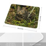 yanfind The Mouse Pad Young Grass Pet Funny Kitten Portrait Cute Little Adorable Staring Cat Eye Pattern Design Stitched Edges Suitable for home office game