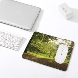 yanfind The Mouse Pad Central Leaves Light Sunny Grass Tree Sunlight Park Sunlight Park York Outdoor Pattern Design Stitched Edges Suitable for home office game