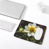yanfind The Mouse Pad Flower Autumn Insect Winged Mediaserv Bee Plant Flowers Petal Flower Mountain Bee Pattern Design Stitched Edges Suitable for home office game