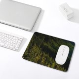 yanfind The Mouse Pad Abies Pine Plant Spruce Pictures Stock Tree Fir Free Conifer Images Pattern Design Stitched Edges Suitable for home office game