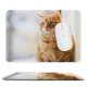 yanfind The Mouse Pad Blur Focus Cats Cat Depth Field Pet Sit Tabby Fur Adorable Cute Pattern Design Stitched Edges Suitable for home office game