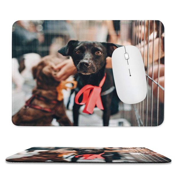 yanfind The Mouse Pad Dog Pet Apparel Pictures Strap PNG Den Images Pattern Design Stitched Edges Suitable for home office game