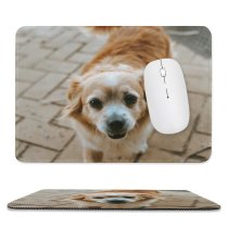 yanfind The Mouse Pad Walkway Pet Strap Pavement Pictures Floor Stock Spaniel Flagstone Cocker Free Pattern Design Stitched Edges Suitable for home office game