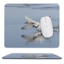yanfind The Mouse Pad Whooper Swan Bird Take Off Lake Vertebrate Beak Wing Wildlife Egret Heron Pattern Design Stitched Edges Suitable for home office game
