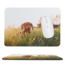 yanfind The Mouse Pad Dog Pet Free Pictures Grass Hound Plant Images Beagle Puppies Pattern Design Stitched Edges Suitable for home office game