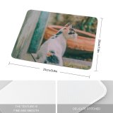 yanfind The Mouse Pad Young Kitty Pet Outdoors Kitten Tabby Whiskers Outside Cute Little Adorable Cat Pattern Design Stitched Edges Suitable for home office game
