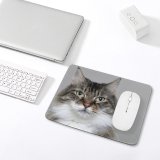 yanfind The Mouse Pad Young Grey Pet Kitten Portrait Tabby Curiosity Cute Little Staring Eye Whisker Pattern Design Stitched Edges Suitable for home office game