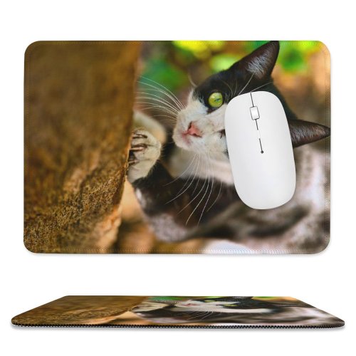 yanfind The Mouse Pad Pet Funny Outdoors Kitten Portrait Wildlife Curiosity Cute Furry Face Eye Whisker Pattern Design Stitched Edges Suitable for home office game