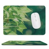 yanfind The Mouse Pad Blur Freshness Focus Plant Fresh Sunlight Daylight Daytime Vine Macro Growth Outdoor Pattern Design Stitched Edges Suitable for home office game