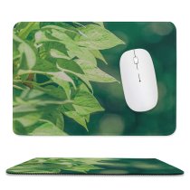 yanfind The Mouse Pad Blur Freshness Focus Plant Fresh Sunlight Daylight Daytime Vine Macro Growth Outdoor Pattern Design Stitched Edges Suitable for home office game