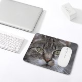 yanfind The Mouse Pad Young Grey Pet Kitten Portrait Tabby Curiosity Cute Staring Cat Eye Whisker Pattern Design Stitched Edges Suitable for home office game