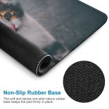 yanfind The Mouse Pad Funny Curiosity Outdoors Cute Baby Young Little Eye Kitten Whisker Fur Portrait Pattern Design Stitched Edges Suitable for home office game