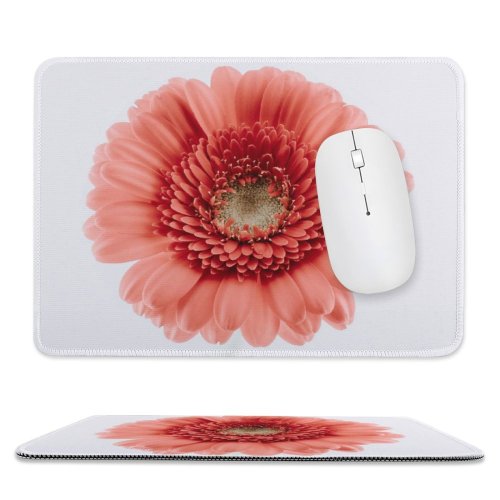 yanfind The Mouse Pad Paweł Czerwiński Flowers Gerbera Daisy Flower Closeup Macro Blossom Bloom Spring Flower Pattern Design Stitched Edges Suitable for home office game